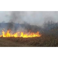 Planul de măsuri pentru reducerea fenomenului de ardere a miriștilor și a resturilor vegetale de pe terenuri arabile și pajiște