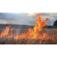 MĂSURI DE APĂRARE ÎMPOTRIVA INCENDIILOR LA ARDEREA MIRIŞTILOR, VEGETAŢIEI USCATE ŞI RESTURILOR VEGETALE 